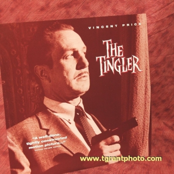The Tingler - Vincent Price  (collectible Laserdisc)