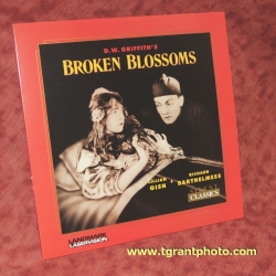Broken Blossoms - Lillian Gish (collectible Laserdisc)